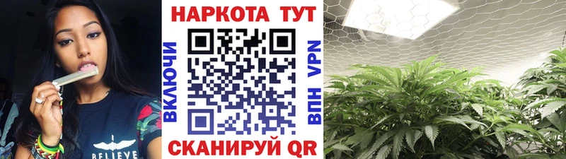 Где можно купить наркотики Муром Гашиш Каннабис Кокаин mega рабочий сайт Мефедрон