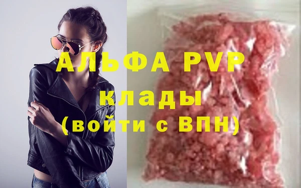 прущие грибы Вяземский