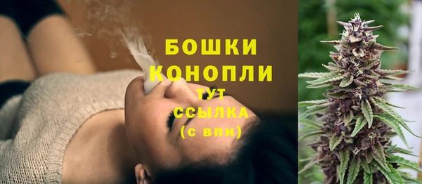 молекула духа Горнозаводск