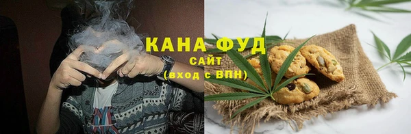 молекула духа Горнозаводск