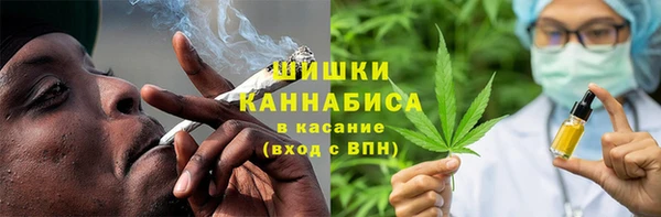 прущие грибы Вяземский