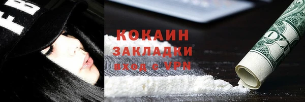 шишки Вязники