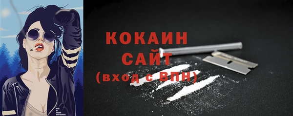 шишки Вязники