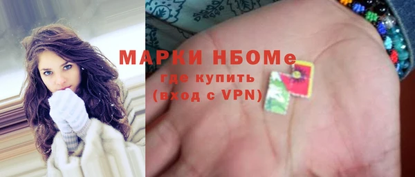 прущие грибы Вяземский