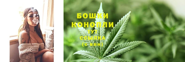 эйфоретик Вязьма