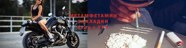 прущие грибы Вяземский