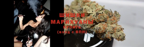 прущие грибы Вяземский