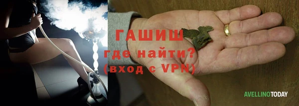 прущие грибы Вяземский