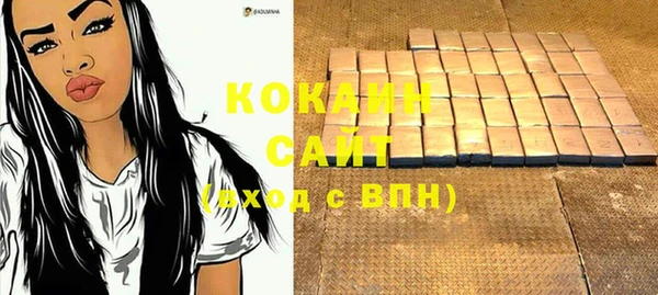 шишки Вязники
