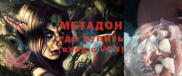 прущие грибы Вяземский