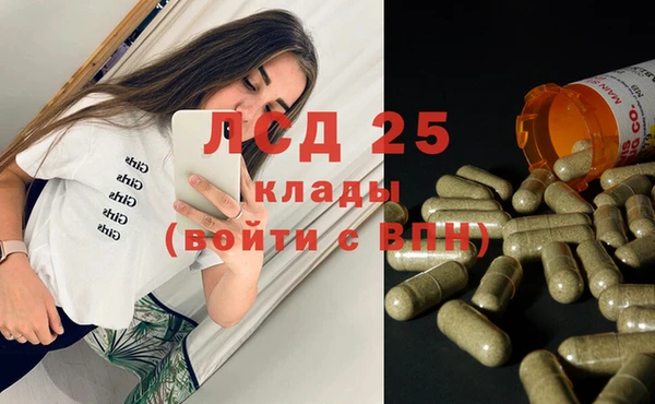 шишки Вязники