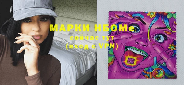 шишки Вязники