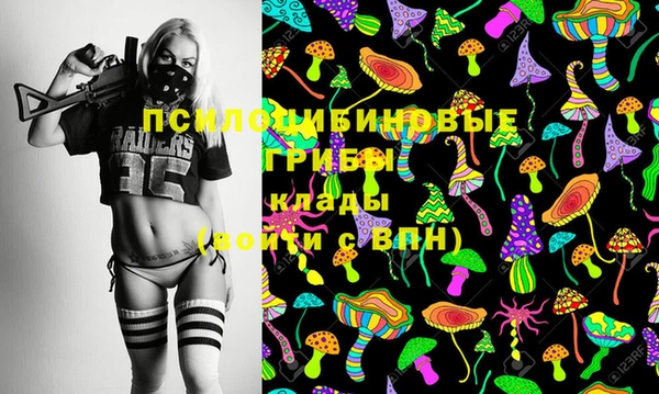 эйфоретик Вязьма