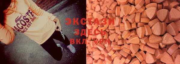 прущие грибы Вяземский
