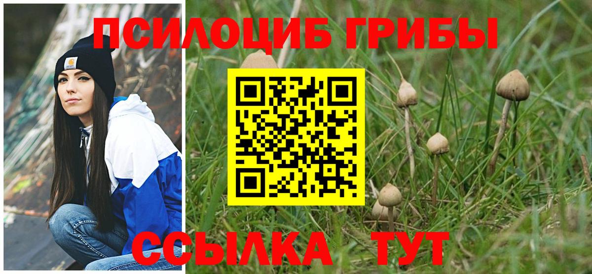 Псилоцибиновые грибы мухоморы Муром